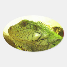 grüner Leguan Sticker