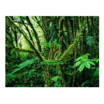 Grupo Artístico Yoruva Tarjeta postal
