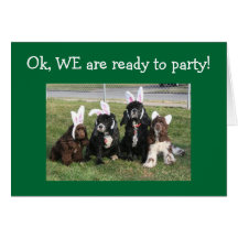GRUPO LISTO A PARTY-ARE USTED 40.o Tarjeton