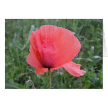 Grusskarte rote Mohnblume: have a happy day
