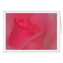 Grusskarte rote Rose