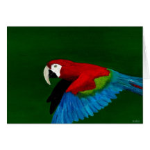 Guacamaya Tarjeton