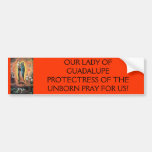 Guadalupe, NUESTRA PROTECTORA de SEÑORA OF GUADALU Etiqueta De Parachoque