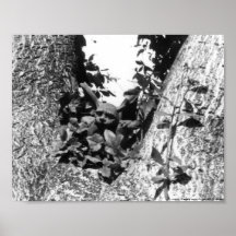 Guarda - poster