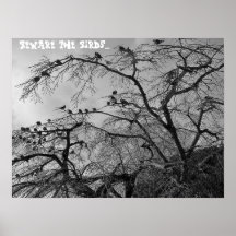 Guárdese del poster de los pájaros