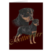Guardias de Rottweiler Tarjetas
