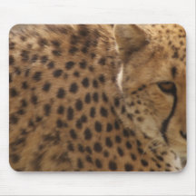 Guepardo (jubatus del Acinonyx) Tapetes De Ratones