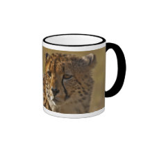 Guepardo Taza