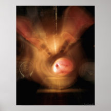 Guerra Pigs#2 - Impresión de la bella arte Posters