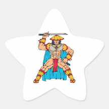 Guerrero del samurai que se coloca con dos espadas colcomanias forma de estrella personalizadas