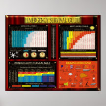 GUÍA DE SUPERVIVENCIA DE LA EMERGENCIA POSTER