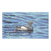 Guillemot de paloma tarjetas de visita