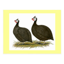 Guinea:  Chocolate Postales