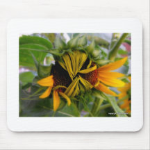 Guiño del mousepad del girasol tapete de ratones