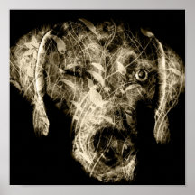 guiño del weimaraner posters