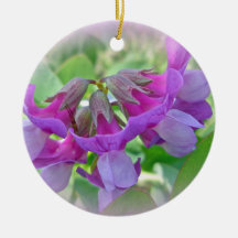 Guisante de playa - Lathyrus japonicus - Wildflowe Ornamento Para Reyes Magos