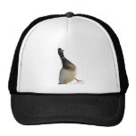 Guse Gorros Bordados