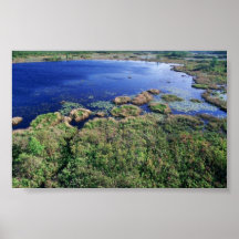 Hábitat del humedal en la fauna nacional de Okefen Poster