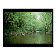 Hábitat del río, Kentucky Tarjeta Postal