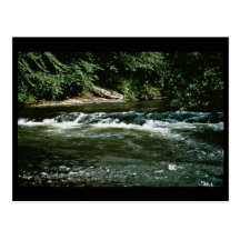 Hábitat del río postales