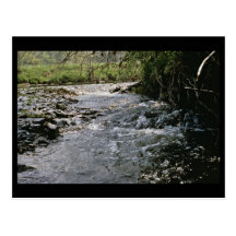 Hábitat del río tarjetas postales