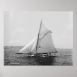 Hada maligna de Sloop Posters
