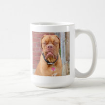 HAGA MI taza del DÍA