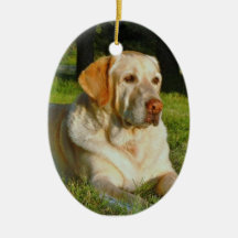 Haga su propio ornamento del navidad del mascota adorno de reyes
