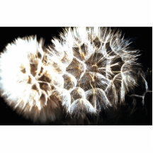 Haga un deseo esculturas fotograficas