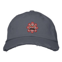 Haida Sun Gorra Bordada