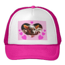 hairless dog hart gorra