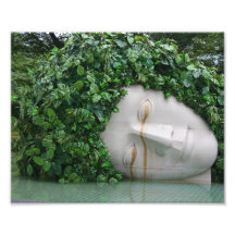 Hakone Arte Fotográfico