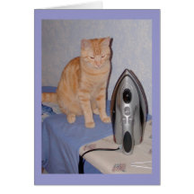 Hal la tarjeta del día de San Valentín del gato