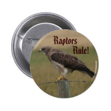 Halcón de B0010 Swainson Pin