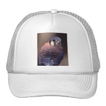 halcón gorros bordados