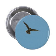 halcón híbrido pins
