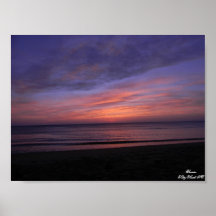 Halcón NC. de SunriseKitty Poster