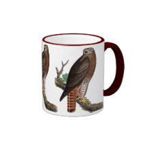 halcón negro Rojo-atado Tazas De Café