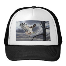 halcón Rojo-atado Gorra