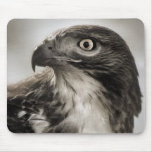 halcón Rojo-atado Mousepad