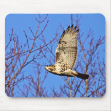 Halcón Rojo-Atado Mousepad Alfombrillas De Raton