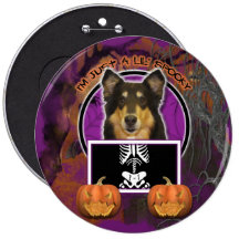 Halloween - apenas un Lil fantasmagórico - collie  Pins