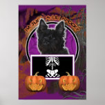 Halloween - apenas un Lil fantasmagórico - mojón - Posters