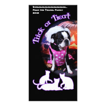 Halloween - Boston Terrier - Georgia Tarjeta Fotografica Personalizada
