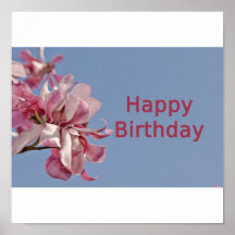 Happy Birthday Posters