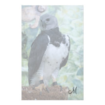 Harpy Eagle Papelería