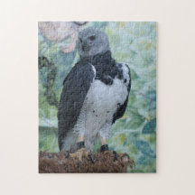 Harpy Eagle Puzzle