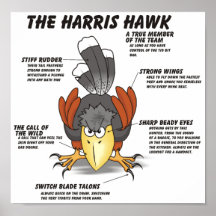 Harris Hawk el dibujo animado Poster