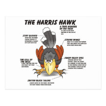 Harris Hawk el dibujo animado Tarjeta Postal