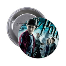 Harry Potter con Dumbledore Ron y Hermione 1 Pins